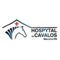 hospital-de-cavalos